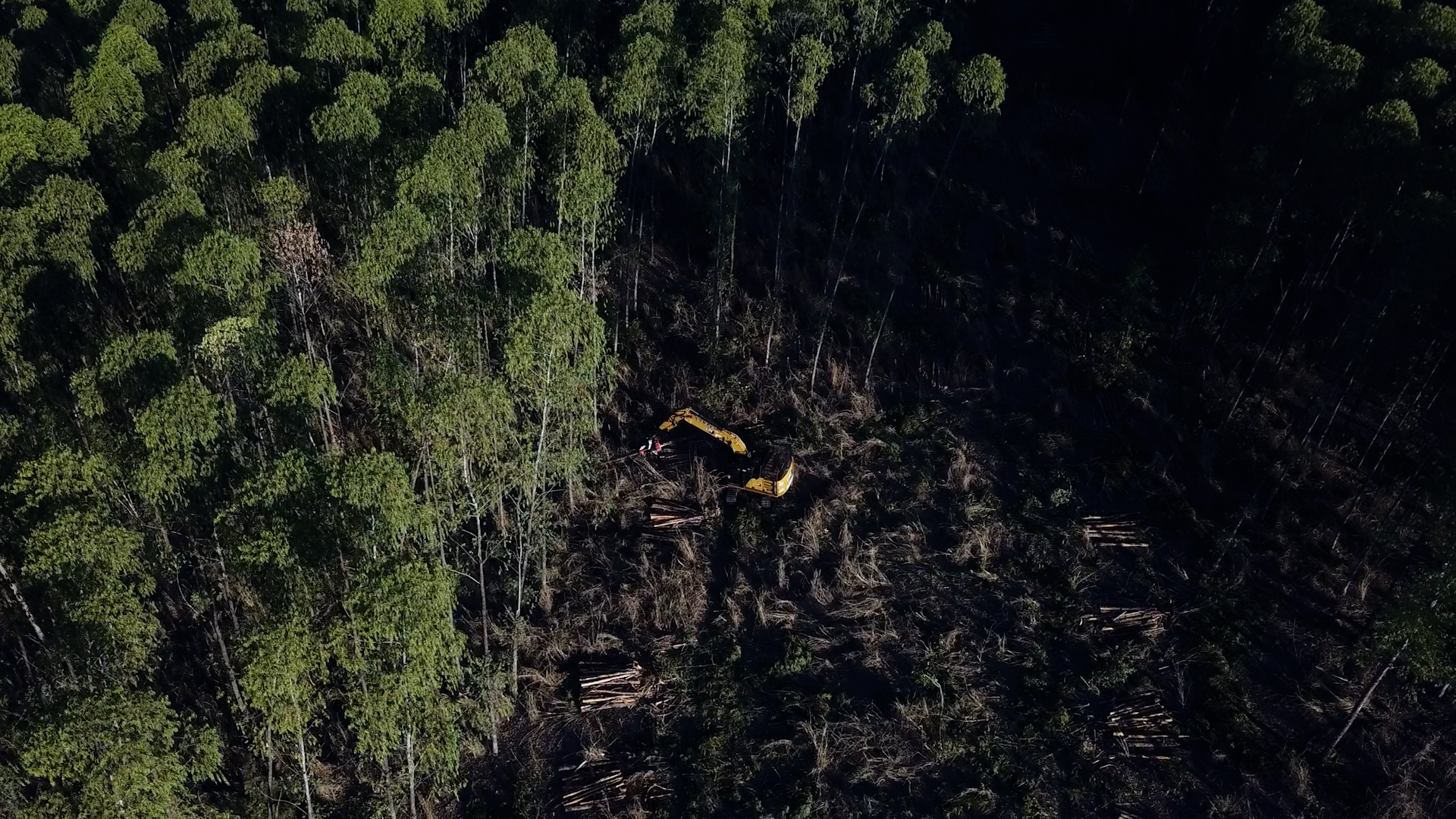 Sequência 01.00_01_25_15.Quadro006.jpg